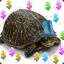 TurtleSmuggler