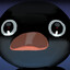 Noot
