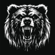 BearusS