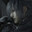 Noctis