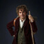 Biblo Baggins