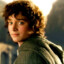 Frodo Sagbag