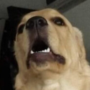 AR-1 - steam id 76561199505486401