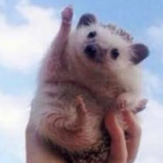 뉴진스의하입보이요