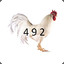 Chicken492