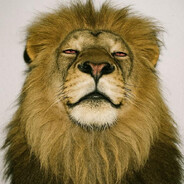 𝕮⃝𝖔𝖈𝖆𝖎𝖓𝖊