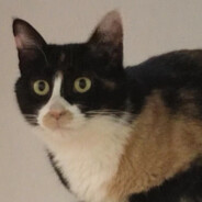 你们都别耍帅咯