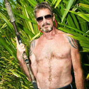 John Mcafee