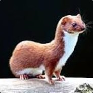 Bread_Weasel