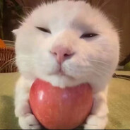 煎饼狗子