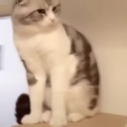 Вэй