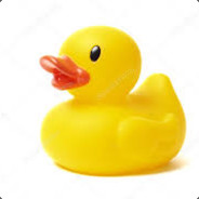 Ducky