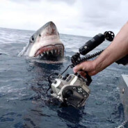 不孝子，敢打你爹