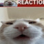 HoRySs⁴²