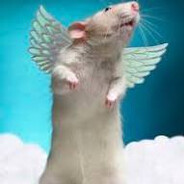 Rat Garbage