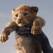 门前游过一群鸭