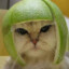 Cat-er melon