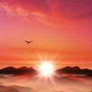 不听不听飞鞋点金不打不打带线偷塔