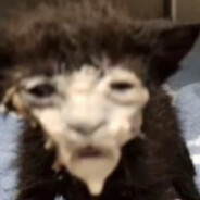 思骂陈炼开挂锁我牛至