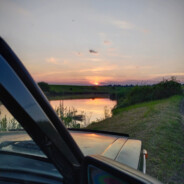 Nikita_Gorin