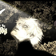 Moto至尊荣耀plus版