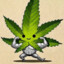 cannabis