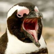 Penguun