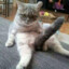 黑眼圈