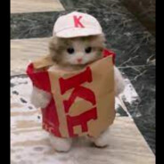 kurwykokstajskiboks.