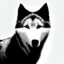 ShadowWolf