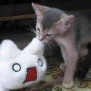 emo的人裊裊最大聲