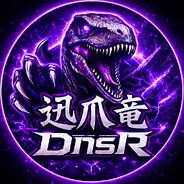 DnsR™