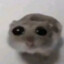 hamster