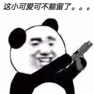 橙皮