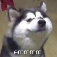 苏湘姑娘Alicia♥.