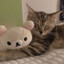 evi