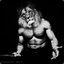 Ghanem Lion