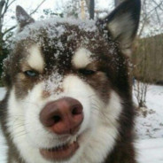 你会等待还是离开