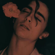 秋霖脉脉绛霜华