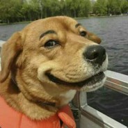 珍惜每次白给的机会