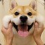 韩想想