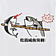 想去澳洲捡松果