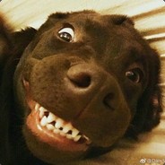 外语学者陈清泉