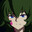 Klutz Steam avatar