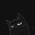 ☁ Black Cat