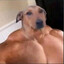 alw