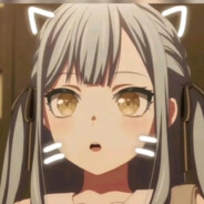 什么？！你也会加速同调？！！ avatar