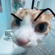 拆尼斯空腹