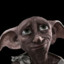 Dobby Never Meant To Kill...