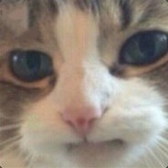 xCrеwEz
